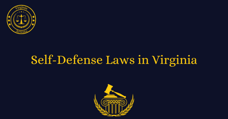Self-Defense Laws in Virginia